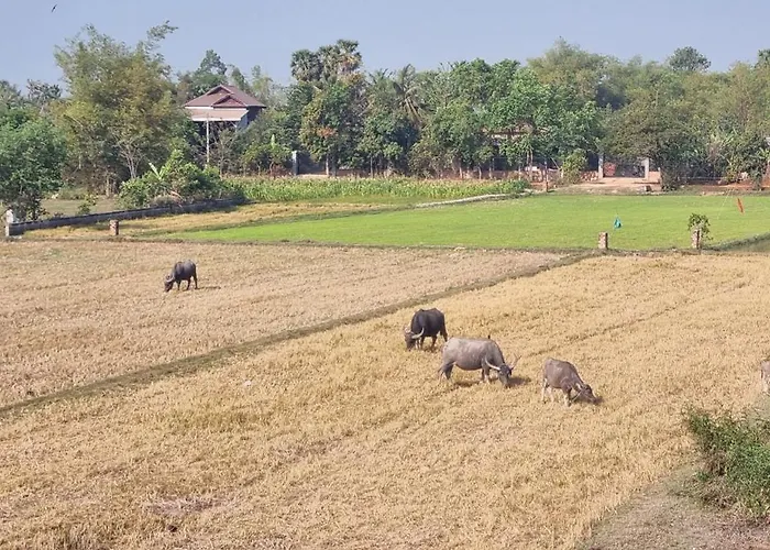 Bayon Country ゲストハウス *